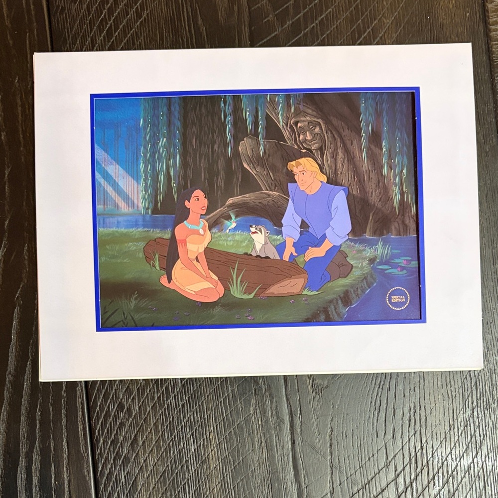 Disney Store Special Edition Lithograph 1995 Pocahontas